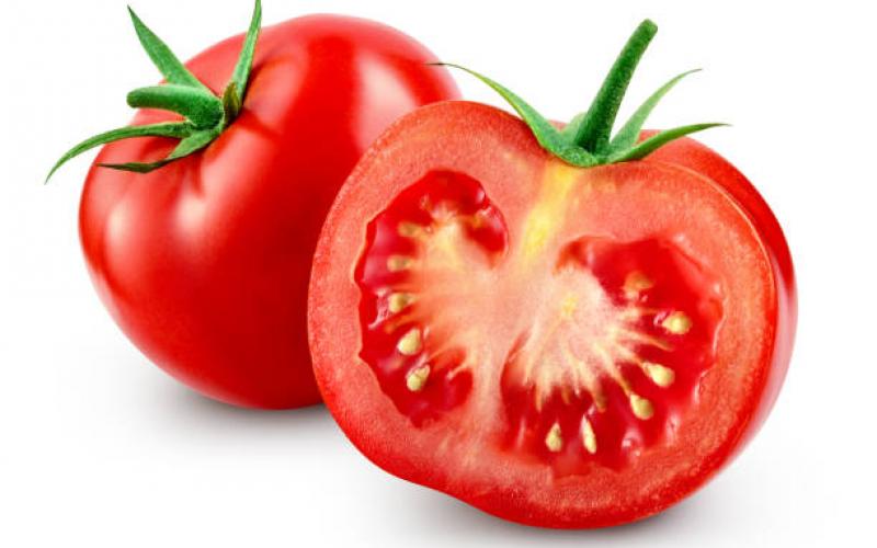 It’s Tomato Time on Friday, April 16, at the Stephens County Extension Office (50 Eastanollee Livestock Road) in  Eastanollee