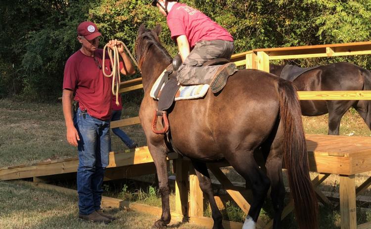 Apprentice Eli Troyer mounts horse Buckwheat under the advisement of Steadfast co-founder/journeyman Tod Bethea.