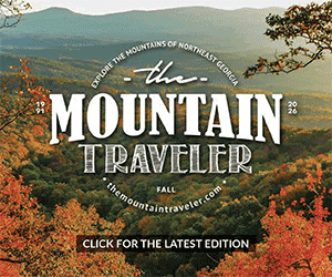 https://publisher1.etype.services/CNI-Magazines/Special-Editions