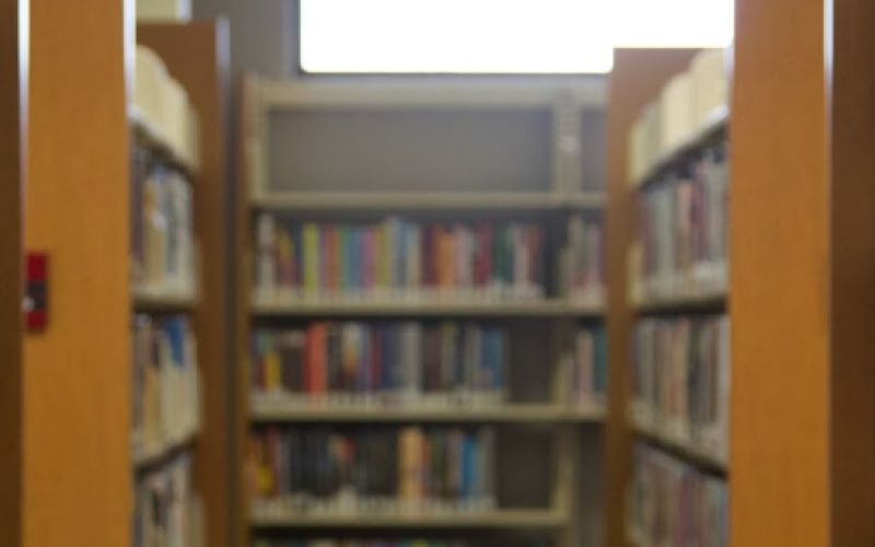 More than 400 children participated in the Toccoa-Stephens County Library's summer reading program this year.