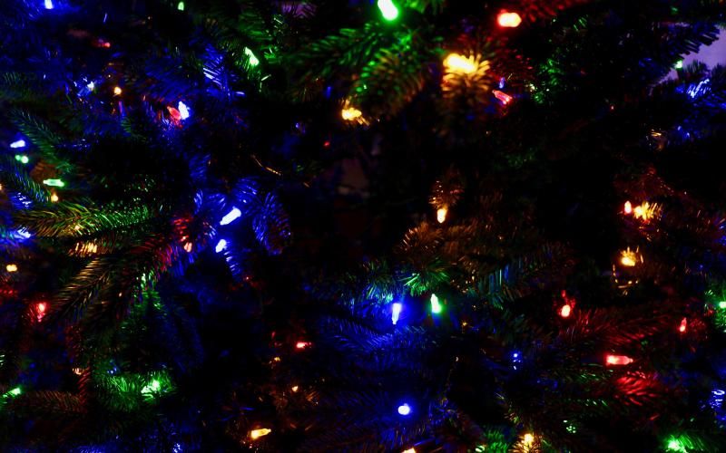 Christmas at Paul Anderson Park event is coming soon.