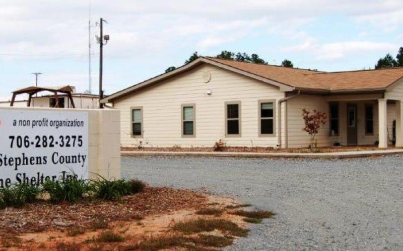 Shelter encourages animal adoption during the Christmas season.