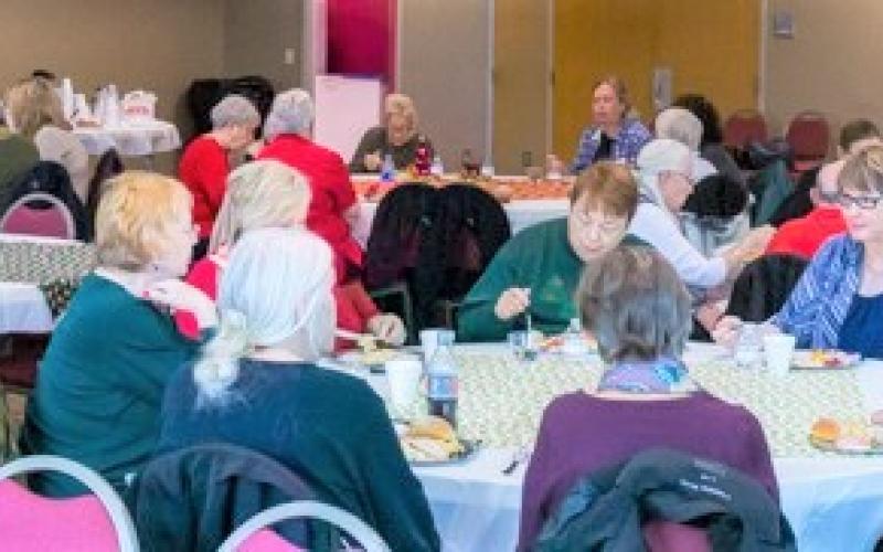 Tiny Stitches volunteers gathered in Duluth last month to celebrate the 20th anniversary of the organization.