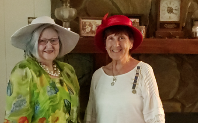 Toccoa DAR members DiAnne Collins (left) and Kathleen Townsend attended the state virtual tea party in July. Not pictured are Paige Dooley and Linda Hogsed.