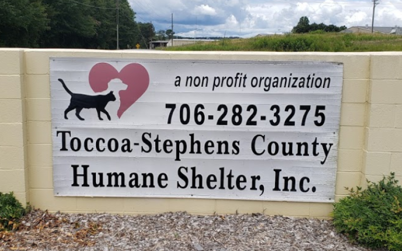 The Toccoa-Stephens County Animal Shelter has temporarily closed.