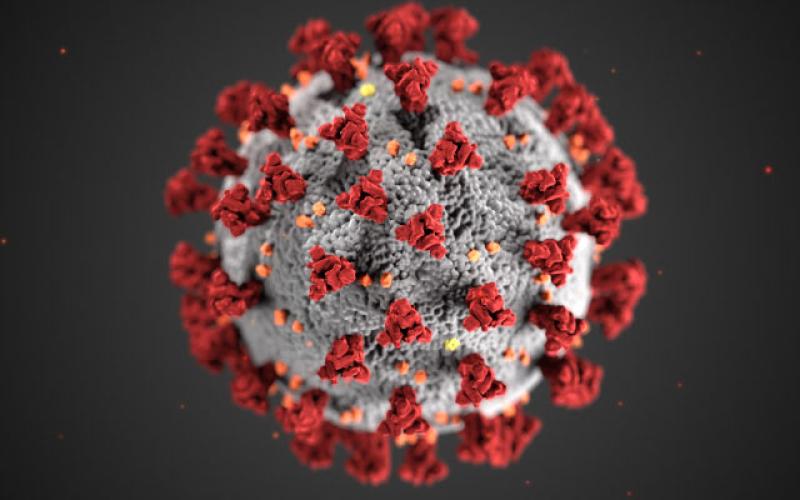Stephens County Hospital is having drive-thru vaccine day.
