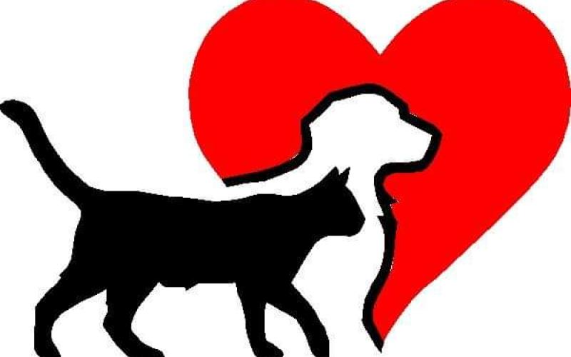Tethering lengths considered in animal ordinance amendment.