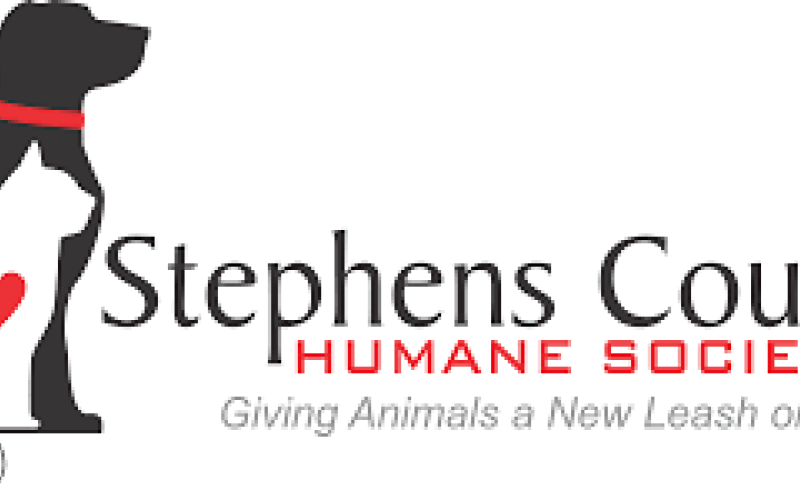 Shelter halts cat intake.