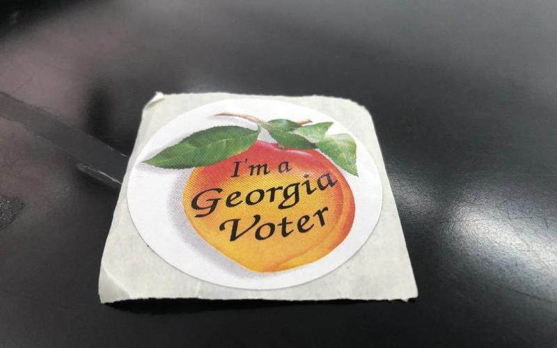 Early voting ongoing through Friday, June 14, 8 a.m. to 5 p.m. at the historic courthouse in Toccoa.
