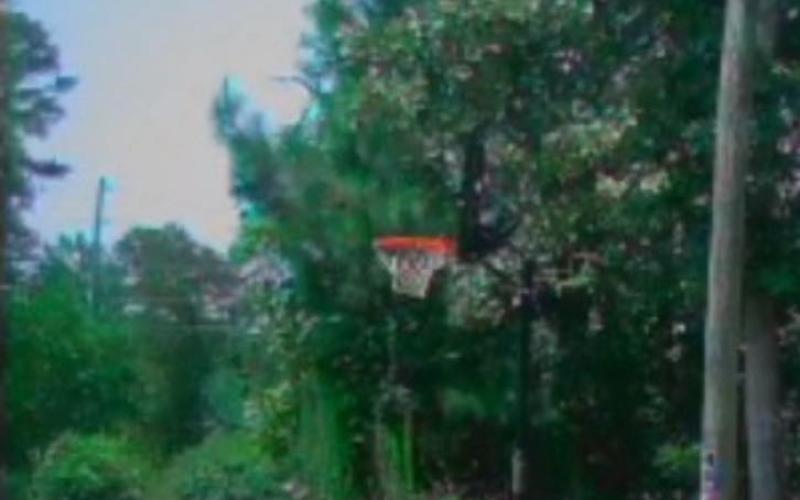 Martin resident Michelle Mimi Jones snapped this photo of a meteorite falling to earth on June 26 from her home.
