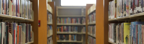 More than 400 children participated in the Toccoa-Stephens County Library's summer reading program this year.