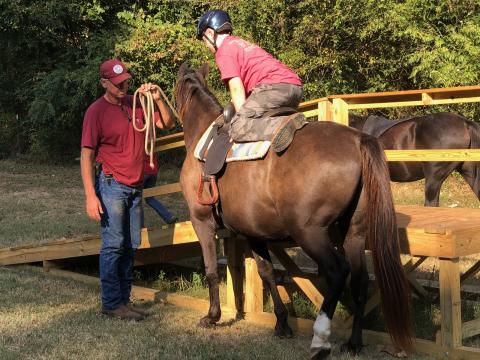 Apprentice Eli Troyer mounts horse Buckwheat under the advisement of Steadfast co-founder/journeyman Tod Bethea.