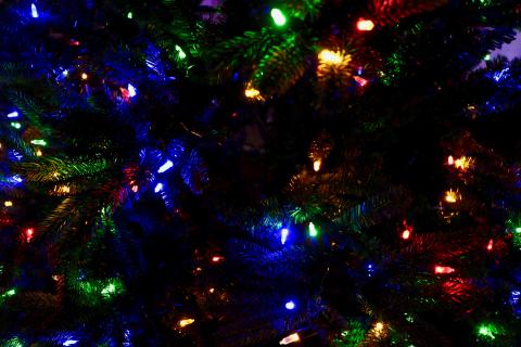Christmas at Paul Anderson Park event is coming soon.