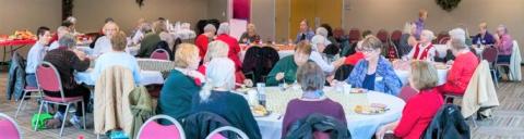 Tiny Stitches volunteers gathered in Duluth last month to celebrate the 20th anniversary of the organization.