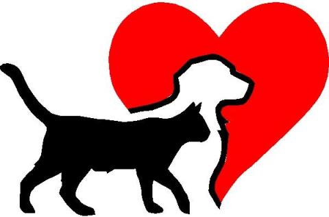 The Toccoa-Stephens County Humane Shelter had a number of positive outcomes in 2019.