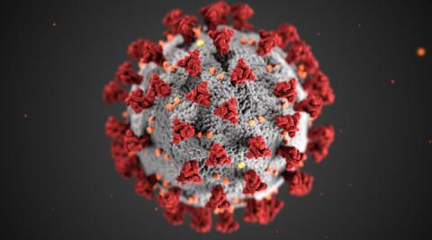 Though Toccoa commissioners did not discuss the coronavirus in Monday's public meeting, Mayor Terry Carter said the city had considered taking actions to prevent its spread.