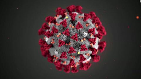 Stephens County Hospital CEO Mike Hester reported Tuesday the  hospital and its physician’s group have tested 100 people for the  coronavirus with nine positive results.