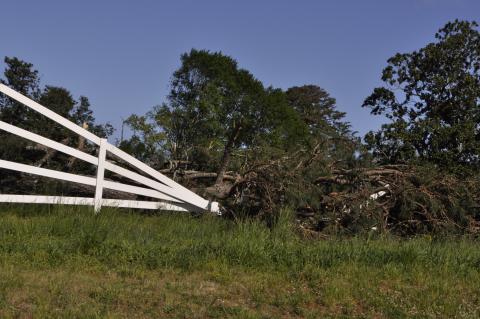 This was the scene on Whispering Pines Drive this morning.