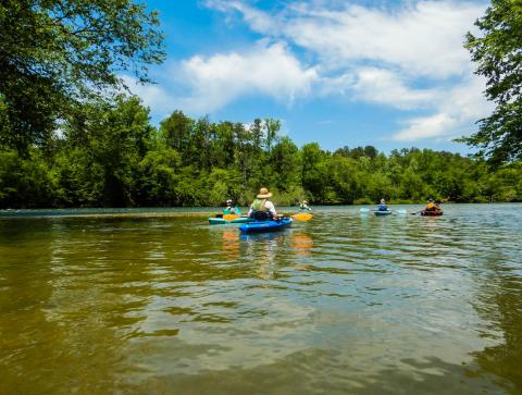 A group of paddlers start a trip down the Tugaloo River Water Trail. This is near the river’s confluence with Panther Creek.