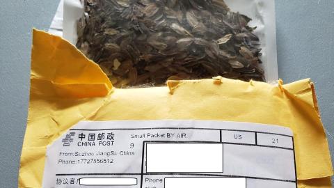 Residents are reporting receiving strange seeds in the mail from overseas.