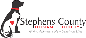Shelter halts cat intake.