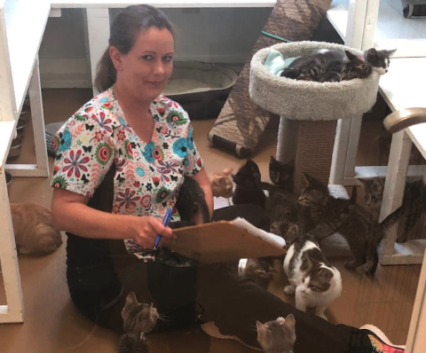 Toccoa-Stephens County Humane Shelter staff member Sonya Loudermilk seems to be covered up in cats. In reality, these felines are just a few of the cats now residing at the humane shelter. Shelter director Jeff Roberts said this week there are more than 200 animals currently housed at the shelter – a building and program designed to care for only 150 animals.