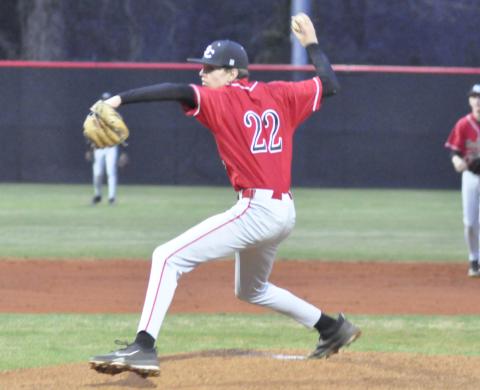 Brian Waldrup makes a pitch.