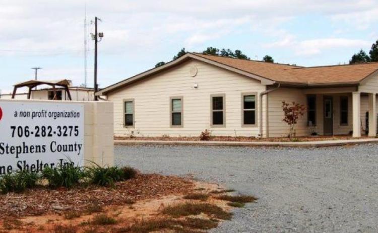Shelter encourages animal adoption during the Christmas season.