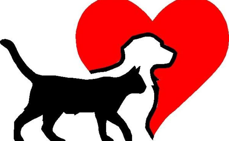 The Toccoa-Stephens County Humane Shelter had a number of positive outcomes in 2019.