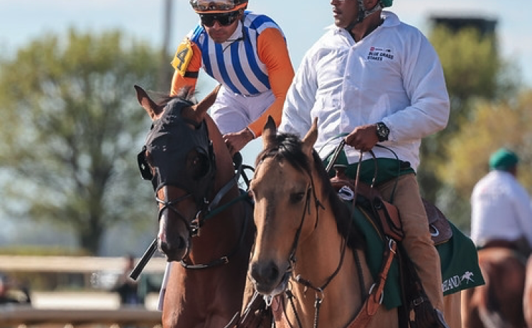 Bryce Angell, a graduate of Stephens County High School, and his team had two horses in the Kentucky Derby.