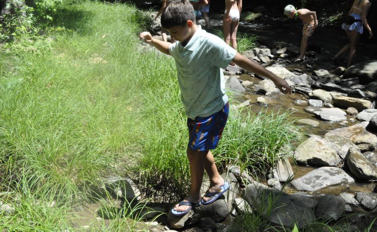 On Monday afternoon, children played in Toccoa Creek as part of their summer camp activities at Camp Mikell. Photo by Michael O’Hearn