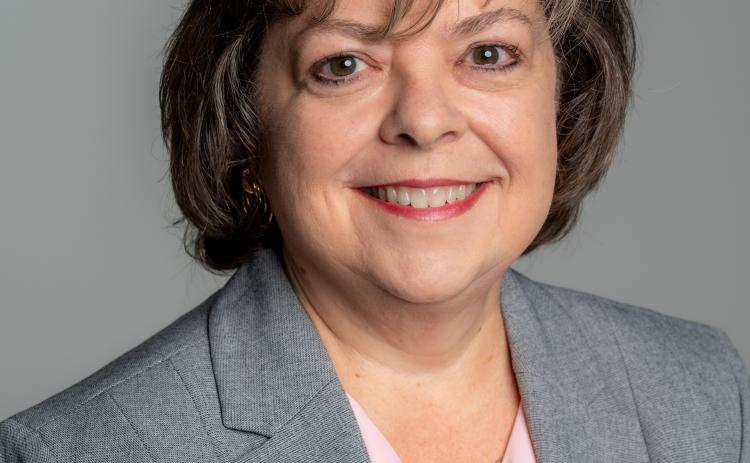 Michele Shirley has been named interim president of North Georgia Technical College.
