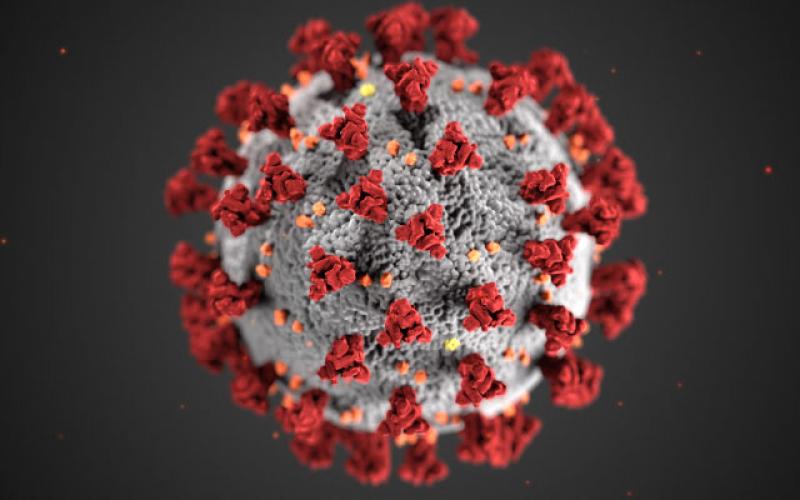 Georgia has ramped up testing residents for the coronavirus.