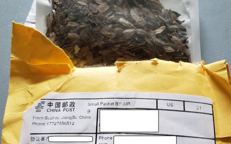 Residents are reporting receiving strange seeds in the mail from overseas.