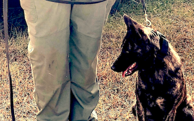 Stephens County’s newest K-9 unit officers are deputy Daniel Dixon and his partner, Reba.