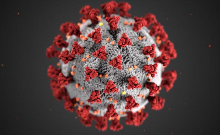 Georgians warned of scams exploiting coronavirus pandemic.